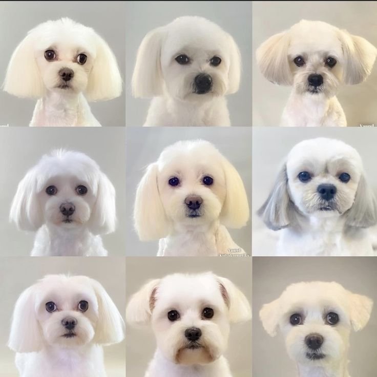 bc75d5060c3bc29e311161f47241608b