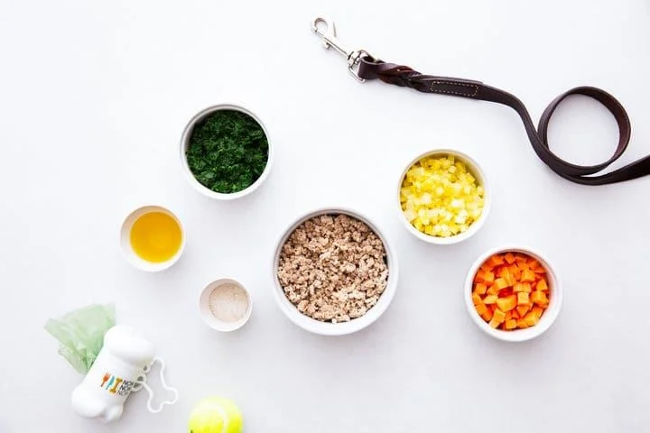 Benefits Of Adopting A Rescue Pet