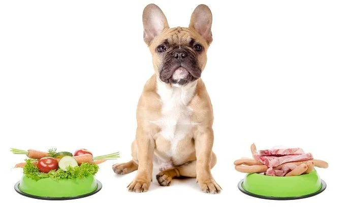 The Best High Fiber Food For Dog