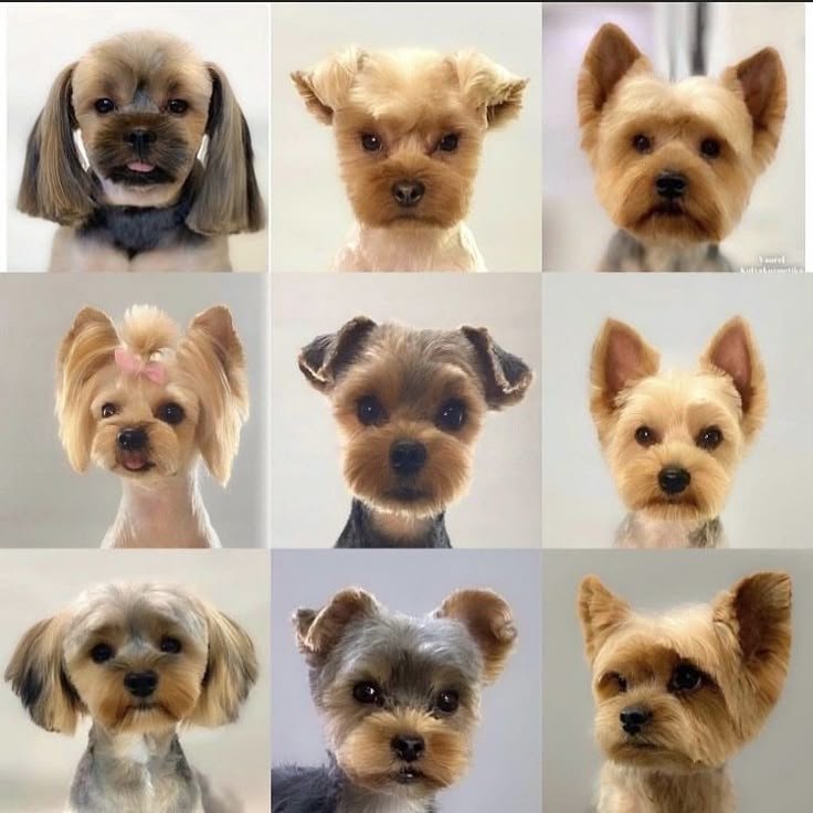 4ee092c1585489e7d12cc0a2ef88ccf5