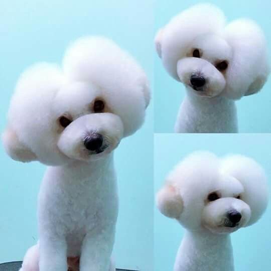 9a191068d09c6b2ed8b3a45b91f66a3f