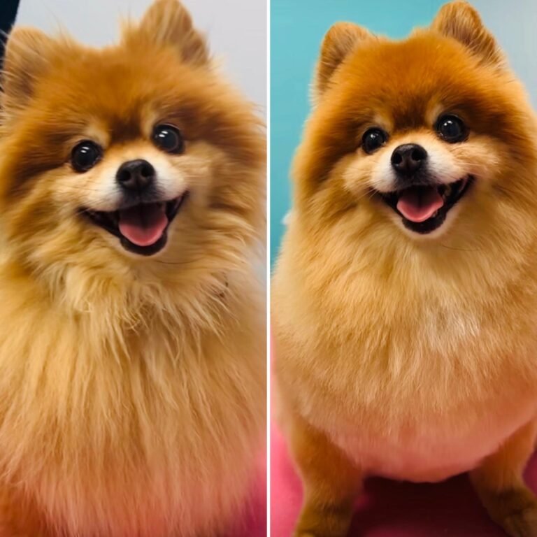 WhatsApp Image 2025-06-10 at 10.01.53 AM