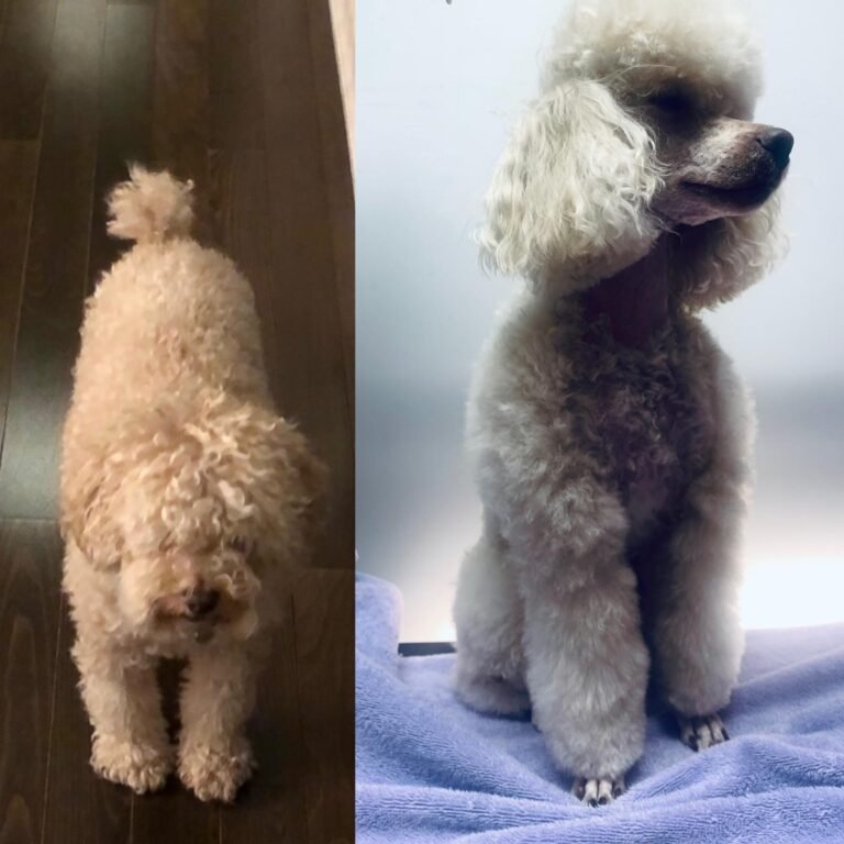 WhatsApp Image 2025-06-10 at 2.36.19 AM