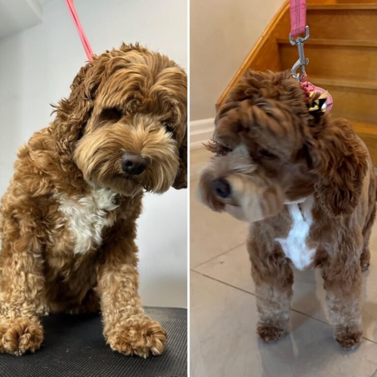 WhatsApp Image 2025-06-10 at 2.52.03 AM