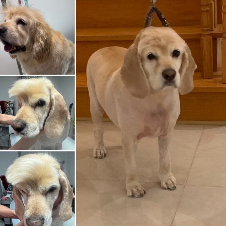 WhatsApp Image 2025-06-10 at 2.57.07 AM