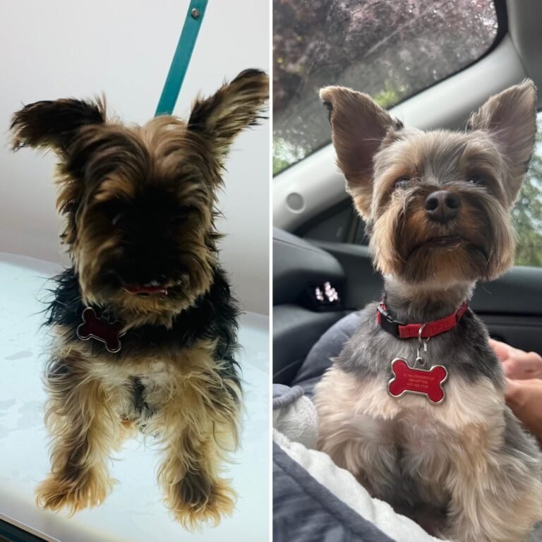 WhatsApp Image 2025-06-10 at 2.57.30 AM