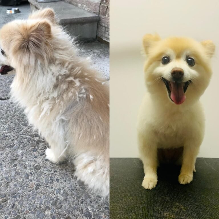 WhatsApp Image 2025-06-10 at 2.57.37 AM