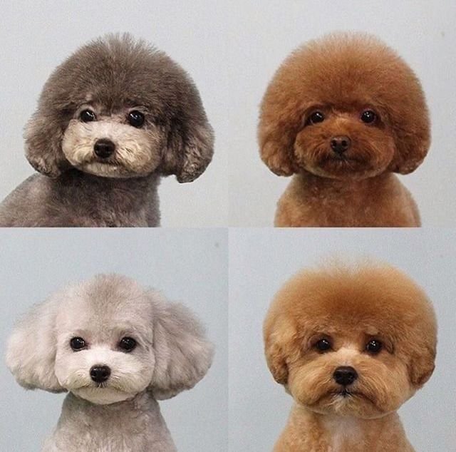 b0ca46b7e5a2806a8f731673bc8c12c3