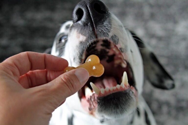 1fe04aacd43eb4659523dfc1f5509d42