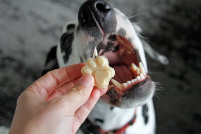 7badbfbef60917ed46b49cf491eff67c