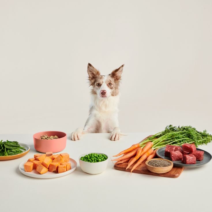 bc1168738805447b5f115cc7d39baa74 (1)