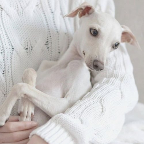 284aa259bda6dd8dfda62ea2d21fc472