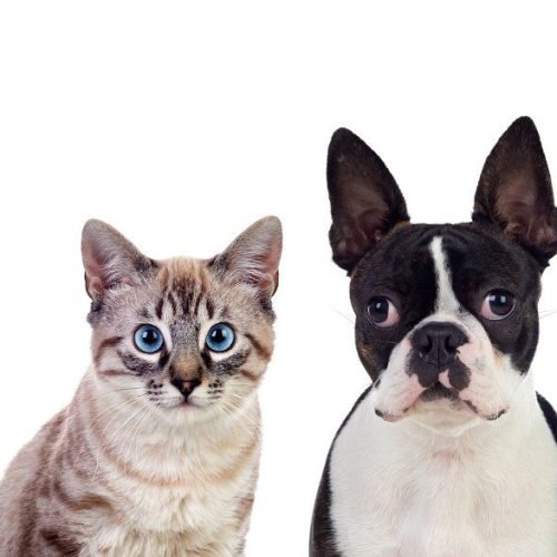 57f5ac1df78ba4594377fd140d91a825