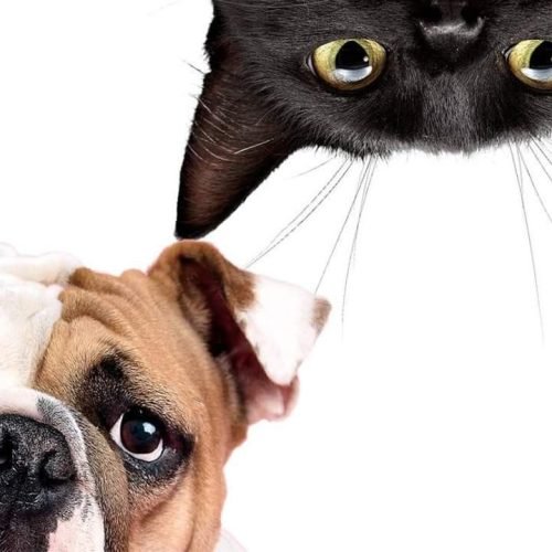 8fbf929347029eea70c4a4a1514eb37f