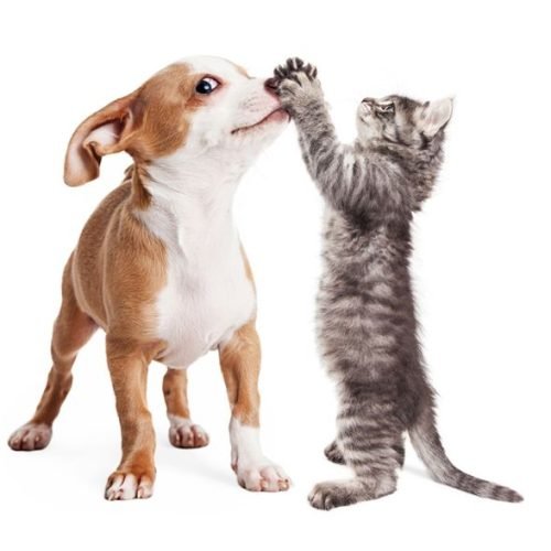 a2a7ac5dc4fa60354bf04e922b735276