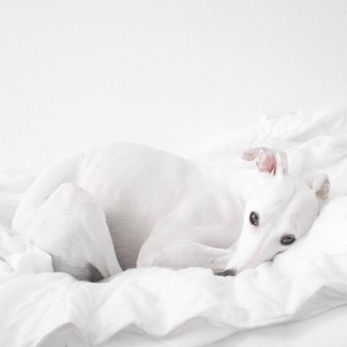 bfb96a170b0378298eb795aa97a742b5